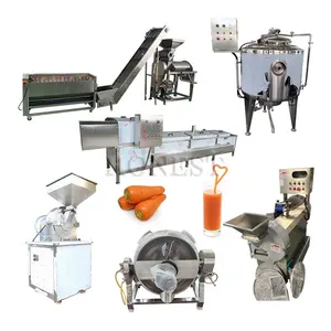 Simple Operation Carrot Juice Making Machine / Carrot Juicer For Restaurant / Machine Wash Carrots