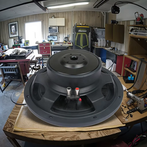 Subwoofers para Auto de 12 Pulgadas RMS 250w, Subwoofers y Bocinas para Auto de Buena Calidad, Venta al por Mayor de Subwoofers para Auto de 12 Pulgadas, Buenas Ventas - Product Image 3