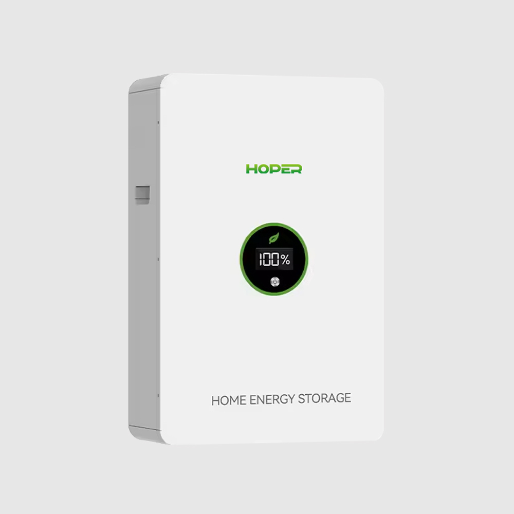 Household Energy Storage Smart BMS LiFePO4 10kwh 51.2V 200Ah Solar Lithium Ion Battery for Home WallPower