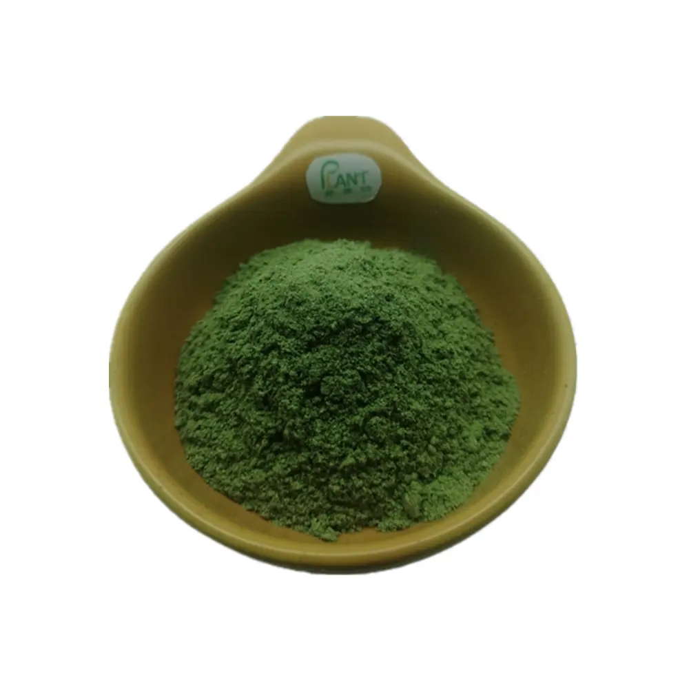 Bán Chất lượng cao tinh khiết 100% Moringa bột USA tiêu chuẩn số lượng lớn Moringa lá bột giá tốt nhất cấp thực phẩm