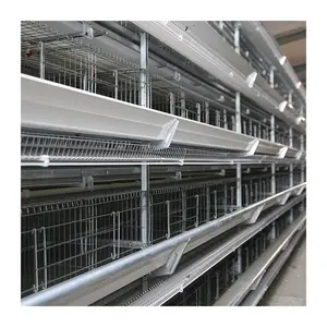 Hot Selling And Popular Layer Egg Chicken Cage Price For Sale In Poultry Farming