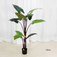 Plante artificielle Calathea Y981, palmier vert italien, plante en pot décorative, vente en gros, décoration d'intérieur, plantes en plastique