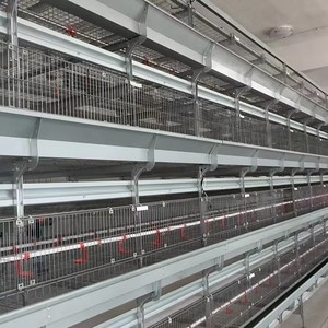 Nuevo Sistema <span class=keywords><strong>de</strong></span> Bebederos Tipo H para Aves <span class=keywords><strong>de</strong></span> Corral con Bebedero <span class=keywords><strong>de</strong></span> Tetina, Alimentación y Agua Automáticas, Acero Inoxidable y Plástico PP - Product Image 5