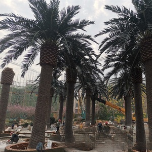 Grand <span class=keywords><strong>arbre</strong></span> de simulation extérieur (cocotier, palmier, <span class=keywords><strong>arbre</strong></span> aux algues) pour la décoration de hôtels et de plages - Product Image 2