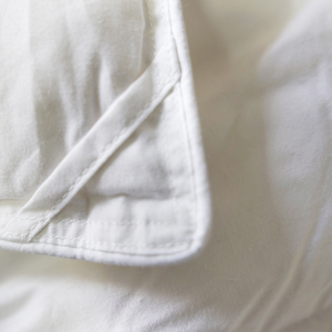 5%-95% White Goose/duck Down Comforter <strong>Duvet</strong> Insert <strong>All</strong> <strong>Season</strong> for Hotel Home - Product Image 2