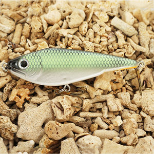 Leurre de pêche <span class=keywords><strong>Super</strong></span> Hot Artificial Hard Jerk Bait Motion <span class=keywords><strong>Buster</strong></span> à descente lente pour brochet, leurre en plastique ABS OEM avec yeux 3D, 10 pièces - Product Image 5