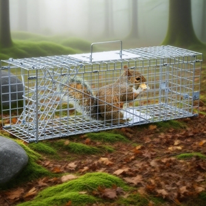 Piège à capture robuste pour écureuils sauvages, chats, <span class=keywords><strong>cage</strong></span> en métal pliable, forme carrée, pour la lutte antiparasitaire humaine, lapins errants - Product Image 4