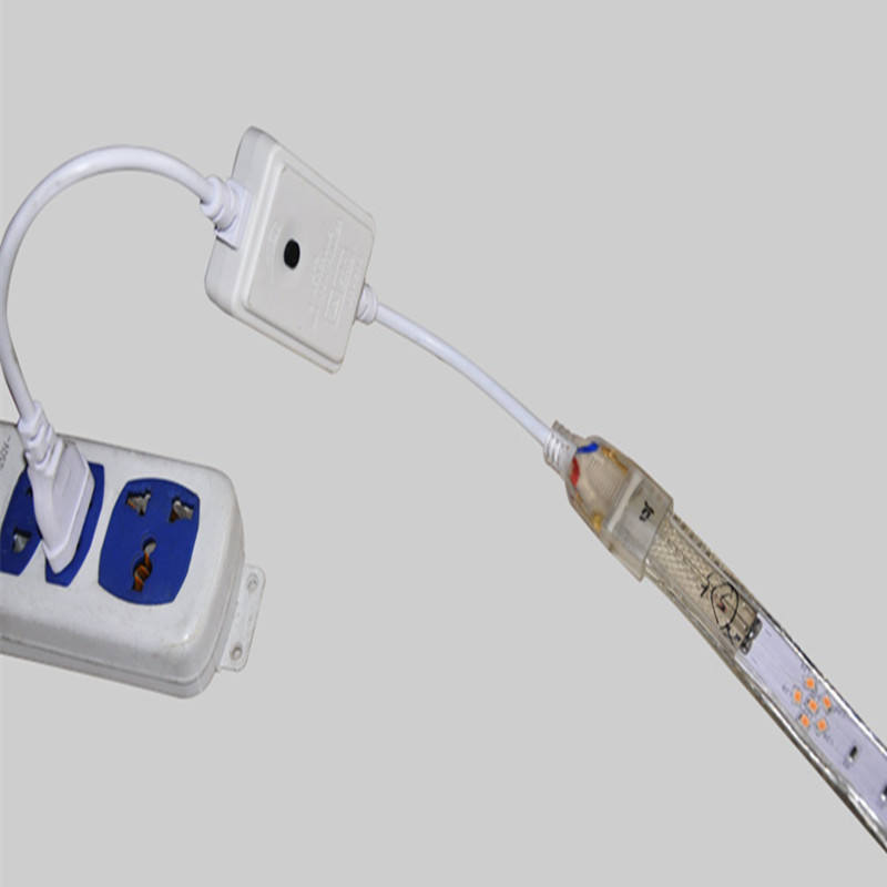 Gmxx040 6Color Led Strip 220V Smd2835 120Leds/M Flexible Tape Light Plum Dance Rgb Led Light Strip