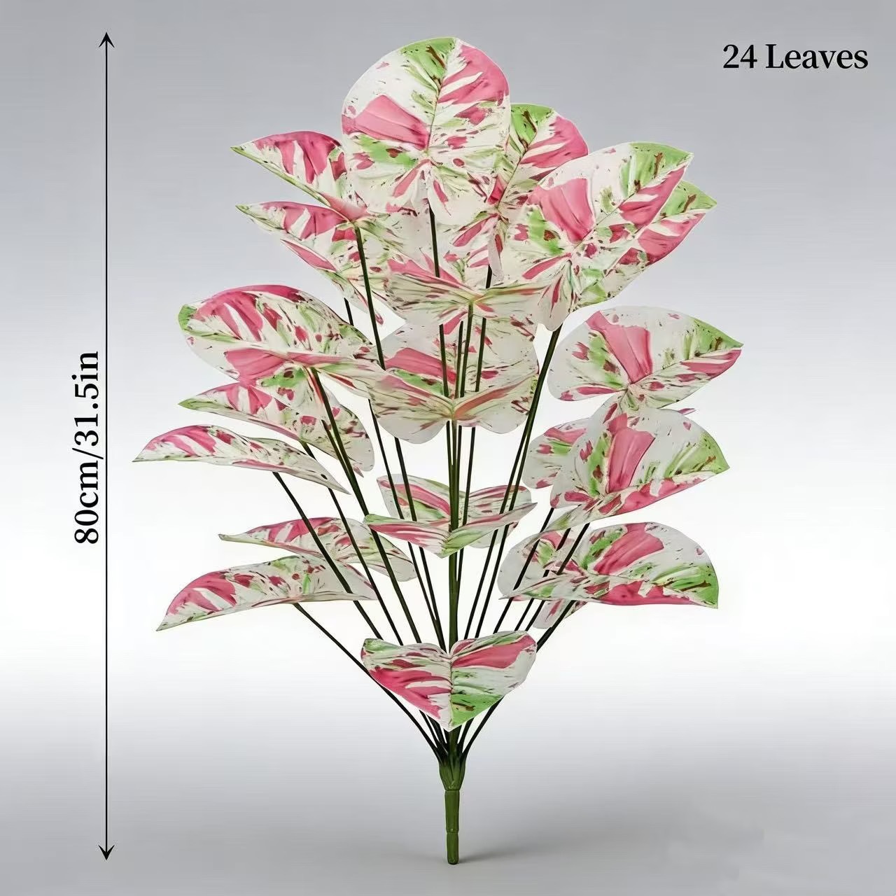 Calabash 24 Feuilles - Splendeur Colorée [Unités Séparées]