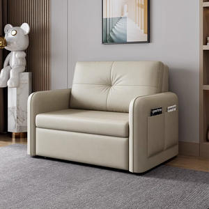 Canapé-<span class=keywords><strong>lit</strong></span> <span class=keywords><strong>pliant</strong></span> en métal moderne et luxueux, imperméable, avec fonctions extensibles et inclinables, pour salon, appartement, meubles - Product Image 2