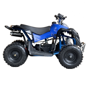 Cuatrimoto ATV de Alta Calidad de 49cc y 2 Tiempos con Motor de Gasolina, ABS, Acero Inoxidable y Certificación CE para Niños en Oferta - Product Image 6