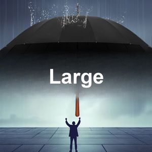 Parapluie de voyage pour navetteurs, 16 baleines, diamètre 115 cm, hauteur 92 cm, poids net 596 g, manche en bois massif, armature en fibre de verre - Product Image 3