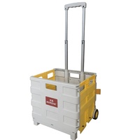 Petit supermarché chariots à roulettes pliable Pack Roll Crate Box en plastique Portable chariot et chariots avec roues