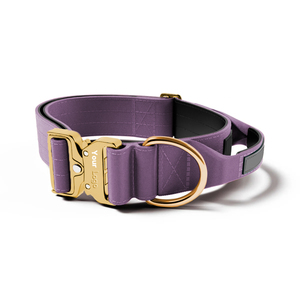 Collar Táctico para <span class=keywords><strong>Perro</strong></span> Ajustable de Nailon Resistente y Grueso con Asa para Perros Medianos y Grandes - Product Image 5