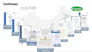 Motor de Accionamiento Síncrono de Imán Refrigerado por Líquido Brogen de 30kw 60kw para Automóvil - Product Image 6