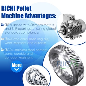 Macchina per la Produzione di Pellet per Gamberetti e Aragoste <span class=keywords><strong>RICHI</strong></span> Certificata CE 3-4t/h - Product Image 3