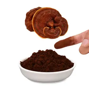 유기농 인증 쉘 깨진 레드 Ganoderma Lucidum Reishi 버섯 포자 추출물 분말