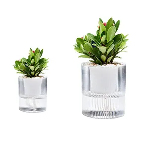 Self Watering Flowerpot Indoor Succulent Hydroponic Plants Pot Circular Transparent Tabletop Planter Home Bonsai Decor