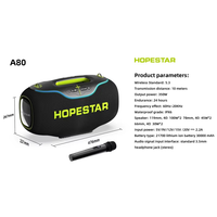 Enceinte de karaoké extérieure étanche avec basses profondes et microphone, enceinte Bluetooth avec carte TF, enceinte sans fil pour le camping