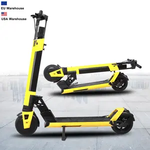 350w 36V Modern Design Electric Scooters With Removable Battery 10.4Ah Scooter Charge Wholesale Low Price electric scooter