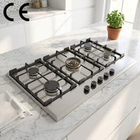 Table de cuisson à gaz encastrable portable en acier inoxydable certifiée CE, 5 brûleurs, chauffage rapide, nettoyage facile, économie d'énergie, en fonte