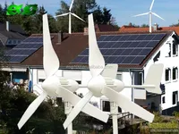 Turbine éolienne portable mini ESG à axe horizontal hors réseau, prix d'usine, 100W 200W 300W 500W
