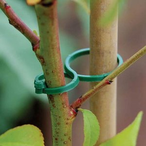 Jardin En Plastique Clip Support de <span class=keywords><strong>Plante</strong></span> D'escalade - Product Image 1