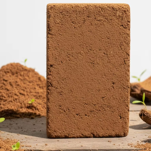 Bloc de cocopeat 5 kg 30 cm x 30 cm x 12 - 15 cm, substrat de culture professionnel à faible teneur en EC, adapté aux légumes, aux fleurs et aux semis - Product Image 1