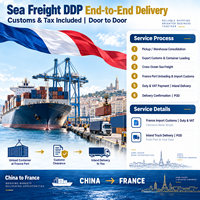 Agent maritime Chine-France, agent d'expédition de conteneurs, services logistiques de fret maritime DDP LCL depuis Shenzhen pour l'importation de marchandises