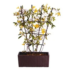 4 Sizes Metal Plant <b>Trellis</b> for Climbing Plants - Durable PE Coated Rust-Proof Garden Support, Tool-Free Assembly <b>Flower</b> Stand - Product Image 5