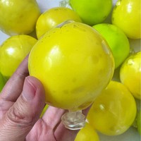 Jouet anti-stress en TPR à croûte lente à remonter, simulation de fruit, jouet à presser, jouet de décompression, en stock, prêt à être expédié