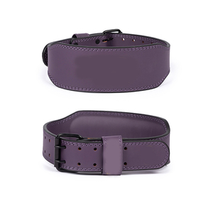 2026 Factory Price Heavy Duty Double Dipping <b>Belt</b> Gym Fitness <b>Exercise</b> Weight Lifting Dipping <b>Belt</b> - Product Image 4