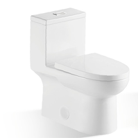 Set Toilet Dual-Flush Modern dengan peralatan sanitasi keramik dan peralatan kamar mandi tersembunyi Bidet desain cubc disetujui