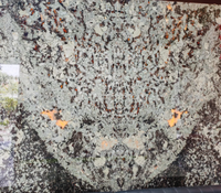 Table basse en marbre de montagne enneigée Fox, pierre naturelle, moderne, polie, grande dalle, motifs de montagne enneigée uniques
