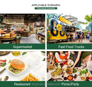 Nuovo Prodotto LR: Piatti Monouso in Plastica da 9 Pollici per Fast Food, Moderni Piatti Rotondi in PP5 per Feste - Product Image 4