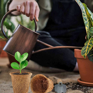 כוסות סיבים קוקוס מתכלה טבעי מתכלה צמח צלוחיות סירי קוקוס - Product Image 5