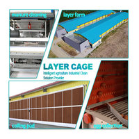 Équipement moderne pour élevages avicoles : Système de cages en batterie pour poules pondeuses pour une production d'œufs efficace
