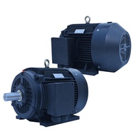 Moteurs à aimant permanent synchrones triphasés à bas régime série TYP spécialement conçus IP55 Prix du moteur électrique 45 kw