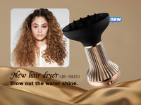 Sèche-Cheveux Professionnel 2 en 1 800W avec Diffuseur Amovible, Outil de Coiffage Ionique pour Cheveux Bouclés