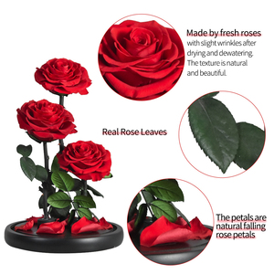 Chất Lượng Cao Cuộc Sống Lâu Dài Hoa Hồng Mãi Mãi Vĩnh Cửu Hoa Vô Cực Bất Tử Duy Nhất Bảo Quản Vĩnh Cửu Tăng Trong Thủy Tinh Dome - Product Image 4