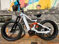 Vélo électrique tout-terrain à suspension intégrale, 160 NM de puissance élevée, 1000 W, vitesse maximale de 80 km/h, E-bike, VTT, vélo de montagne