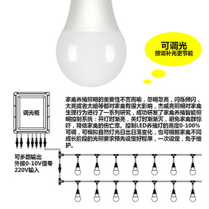 หลอดไฟ LED สำหรับสัตว์ปีก 220V E27 แสงวอร์มไวท์ ปรับความสว่างได้ สำหรับให้แสงสว่างในฟาร์มไก่ - Product Image 1