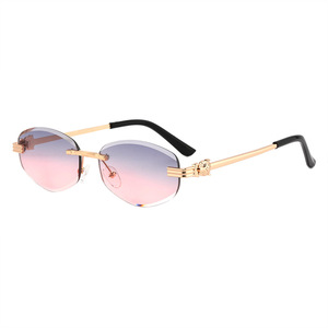Nouvelle tendance de la mode, lunettes de soleil rondes à tête de léopard pour hommes et femmes, protection UV pour l'extérieur - Product Image 6