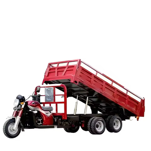 Nouveau Style 1000W puissance inverse droit moto à trois roues neuf roues Double essieu motorisé ouvert passager Cargo véhicule CCC - Product Image 1