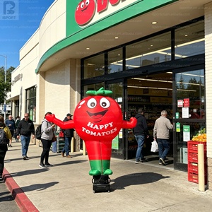 <span class=keywords><strong>Tomate</strong></span> géante gonflable lumineuse à LED <span class=keywords><strong>de</strong></span> 3 m, modèle <span class=keywords><strong>de</strong></span> mascotte <span class=keywords><strong>de</strong></span> <span class=keywords><strong>tomate</strong></span> <span class=keywords><strong>de</strong></span> dessin animé avec logo personnalisé pour la publicité extérieure/promotion <span class=keywords><strong>de</strong></span> marque - Product Image 3