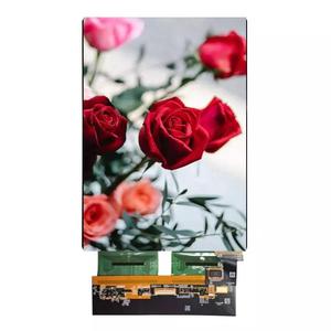 <span class=keywords><strong>Display</strong></span> schermo trasparente <span class=keywords><strong>oled</strong></span> <span class=keywords><strong>display</strong></span> <span class=keywords><strong>OLED</strong></span> da 11 pollici 1728*2368 modulo <span class=keywords><strong>oled</strong></span> ad alta risoluzione con luminosità di 385 nits - Product Image 3