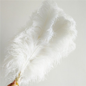 Plumes d'<span class=keywords><strong>autruche</strong></span> vert clair géantes en gros, 40-45 cm - Product Image 2