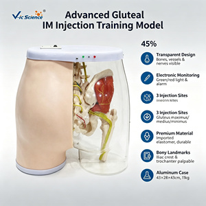 Simulateur d'<span class=keywords><strong>injection</strong></span> <span class=keywords><strong>intramusculaire</strong></span> fessière semi-transparent grandeur nature avec repères osseux palpables pour l'enseignement infirmier CE ISO ROHS CNAS - Product Image 1