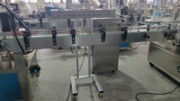 Machine de remplissage et de bouchage automatique pneumatique à 4 têtes pour bouteilles en plastique PET avec scellage en aluminium
