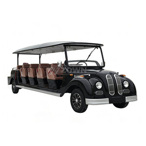 Voiture électrique vintage classique à succès, 4 places, véhicule touristique, batterie au plomb ou au lithium en option, peinture personnalisée - Product Image 2